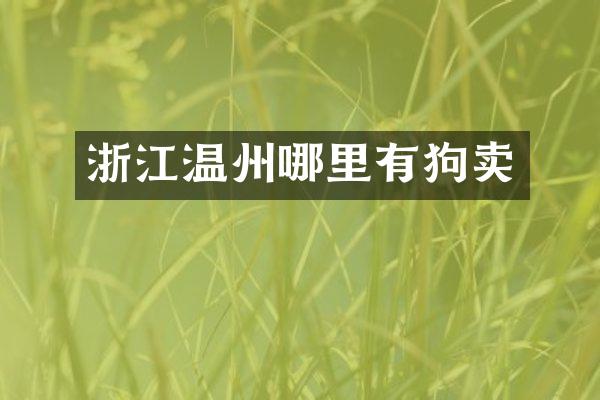 浙江温州哪里有狗卖