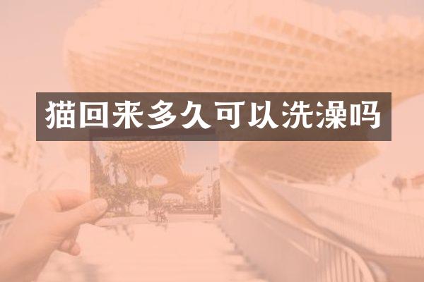 猫回来多久可以洗澡吗