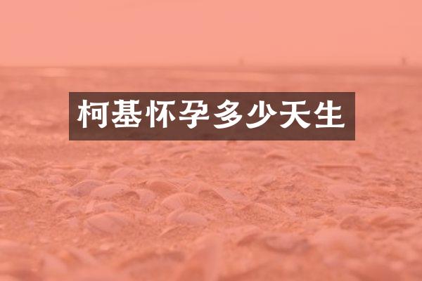 柯基怀孕多少天生