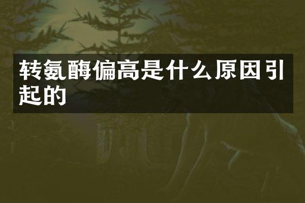 转氨酶偏高是什么原因引起的