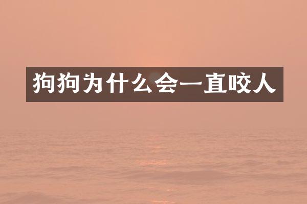 狗狗为什么会一直咬人