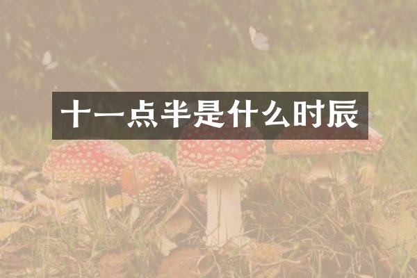 十一点半是什么时辰