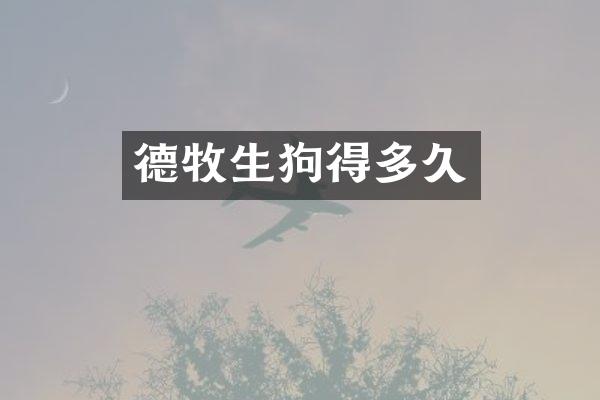 德牧生狗得多久