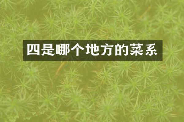 四是哪个地方的菜系