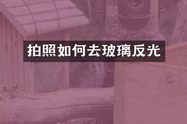 拍照如何去玻璃反光