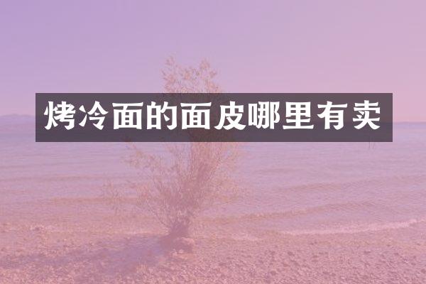 烤冷面的面皮哪里有卖