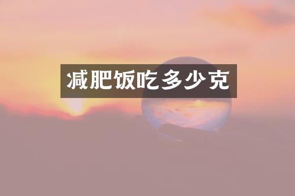 减肥饭吃多少克