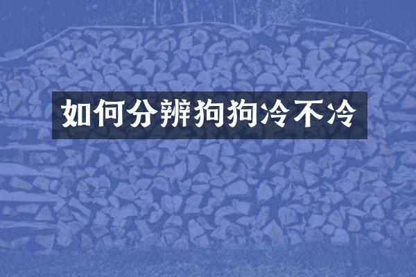如何分辨狗狗冷不冷
