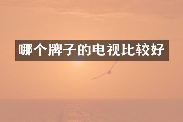 哪个牌子的电视比较好