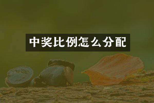 中奖比例怎么分配