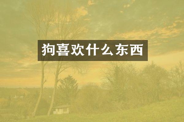 狗喜欢什么东西