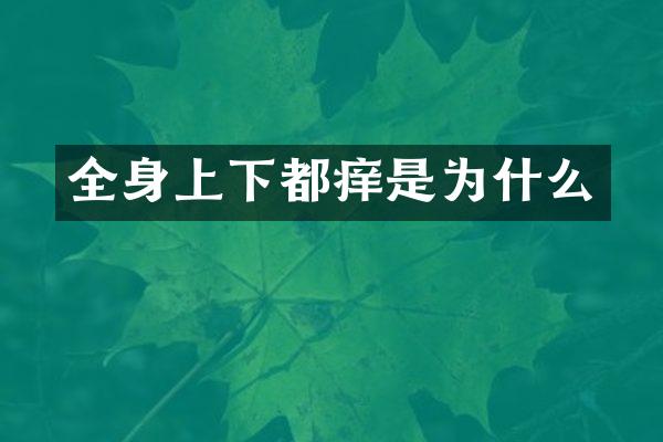 全身上下都痒是为什么
