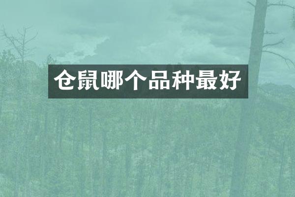 仓鼠哪个品种最好