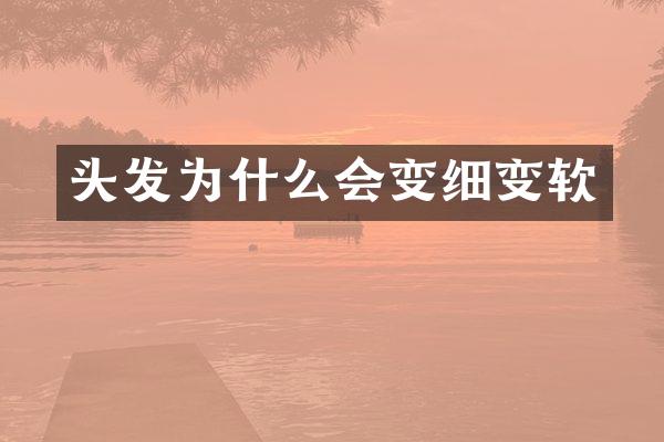 头发为什么会变细变软