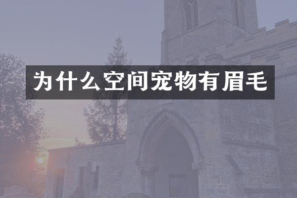 为什么空间宠物有眉毛