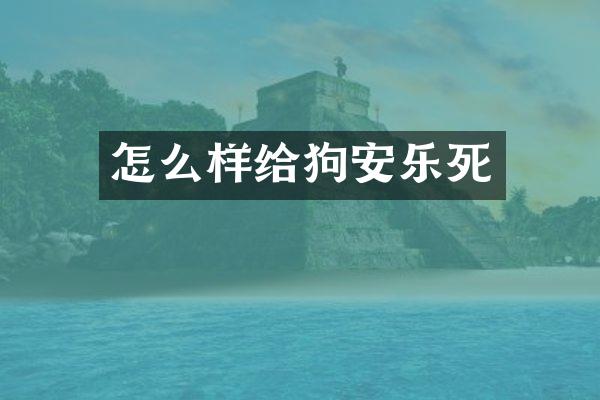 怎么样给狗安乐死