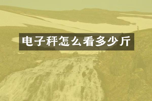 电子秤怎么看多少斤