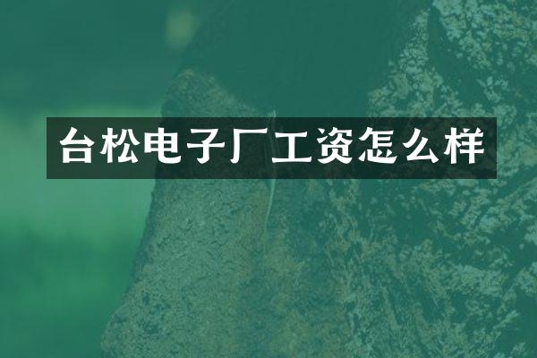 台松电子厂工资怎么样