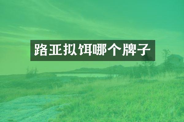 路亚拟饵哪个牌子