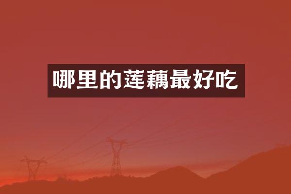 哪里的莲藕最好吃