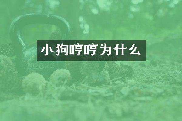 小狗哼哼为什么