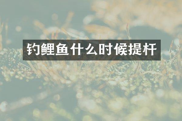钓鲤鱼什么时候提杆