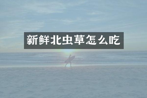 新鲜北虫草怎么吃
