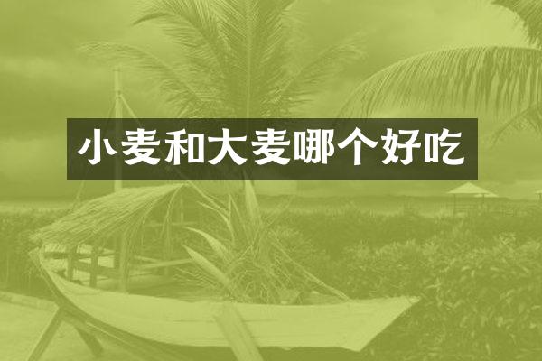 小麦和大麦哪个好吃