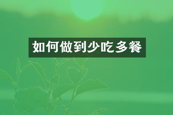 如何做到少吃多餐