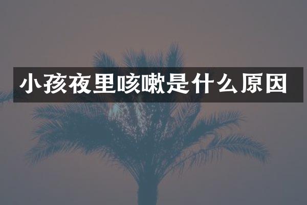 小孩夜里咳嗽是什么原因