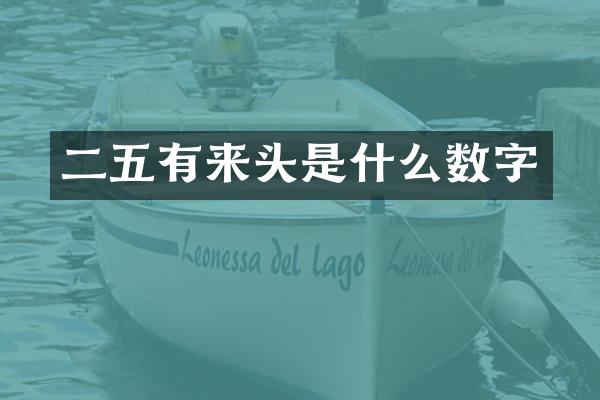 二五有来头是什么数字