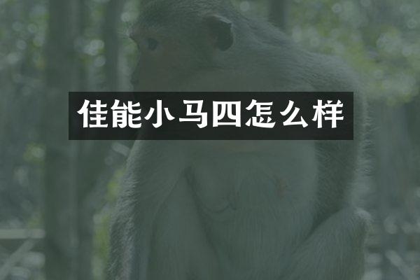 佳能小马四怎么样