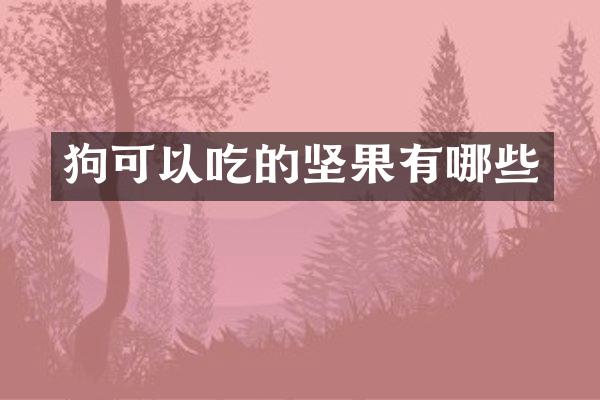 狗可以吃的坚果有哪些