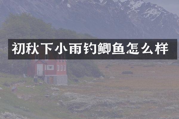 初秋下小雨钓鲫鱼怎么样