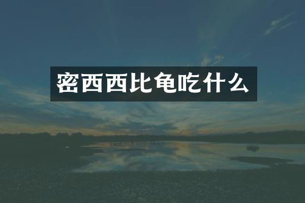 密西西比龟吃什么