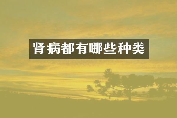 肾病都有哪些种类