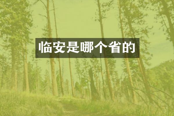 临安是哪个省的