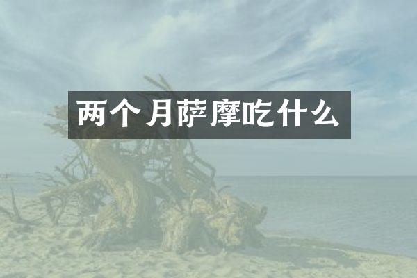 两个月萨摩吃什么