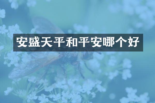 安盛天平和平安哪个好