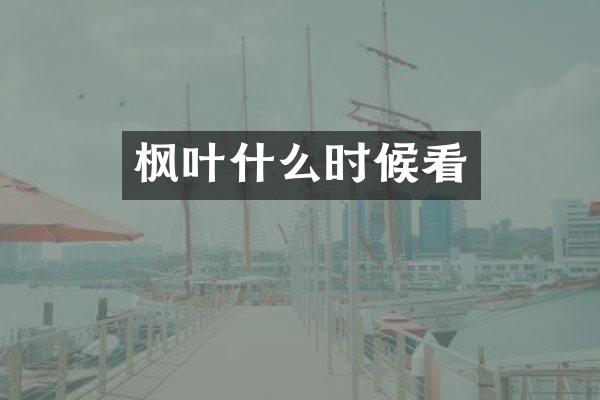 枫叶什么时候看
