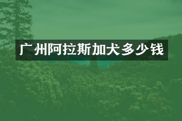 广州阿拉斯加犬多少钱