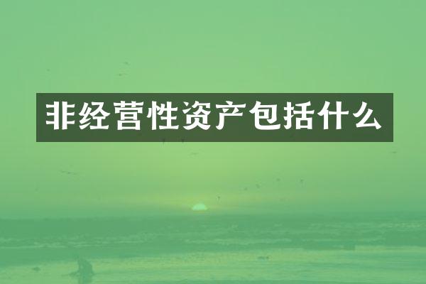 非经营性资产包括什么