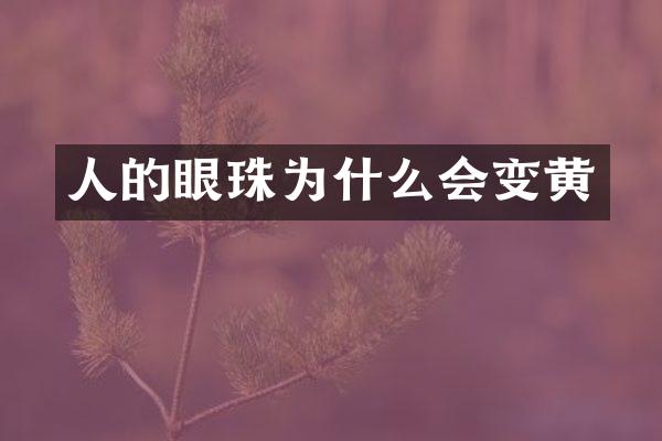 人的眼珠为什么会变黄