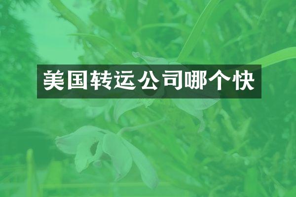 美国转运公司哪个快