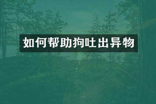 如何帮助狗吐出异物