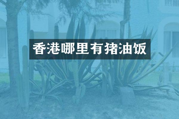 香港哪里有猪油饭