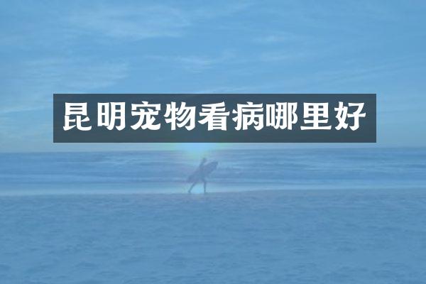 昆明宠物看病哪里好
