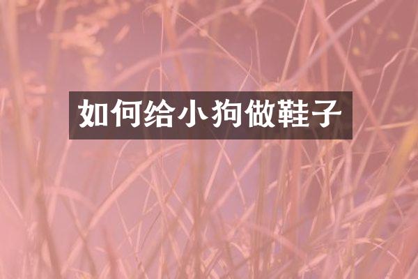 如何给小狗做鞋子