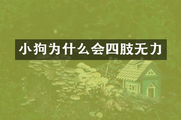 小狗为什么会四肢无力