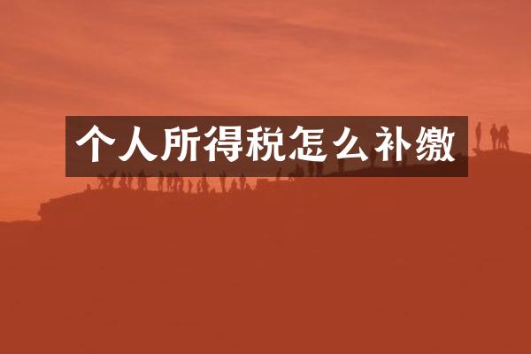 个人所得税怎么补缴